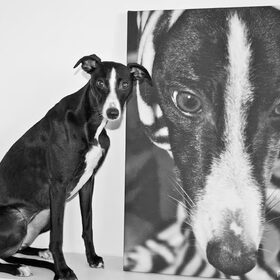 Sta ik niet mooi naast mijn eigen Canvas? ;-)