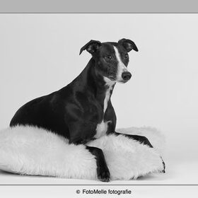 Zoë poseert graag voor mij