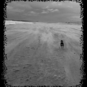 Kiko op het strand
