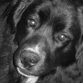 mine love TESSA