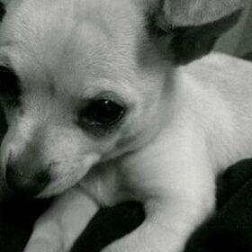 Schattig. ♥