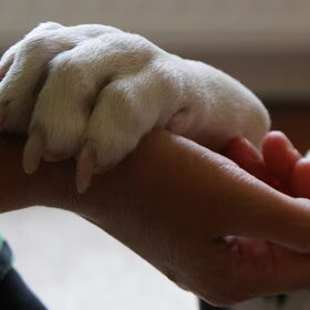 Hand vast...