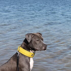 princess at the water