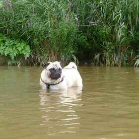 Op en top genieten