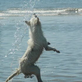 Super Jump