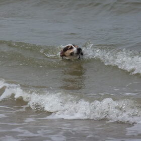 In de golven.