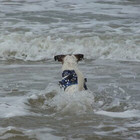 Nog 1 keer het water in.