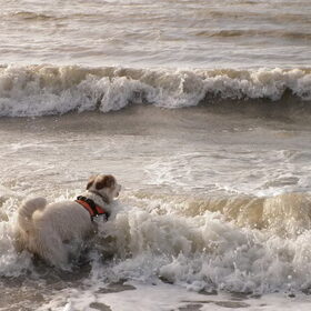 whow wat een golven