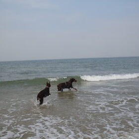 Hier aan de kust.. De Zeeuwse kust...