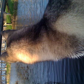 Geen titel