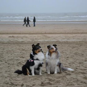 Zandvoort