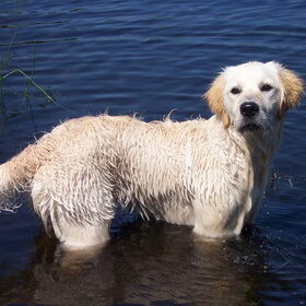 SpetterSpetterSpater, lekker in het water!!