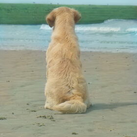 Aan zee