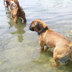 Wel een beetje eng dat water