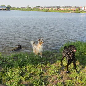 de 3 musketiers