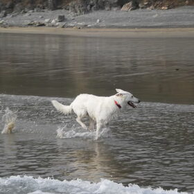 Shanti in de zee