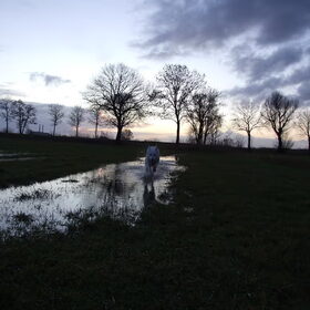 Lekker door het water crossen.
