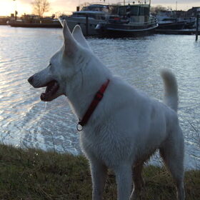 In de haven.