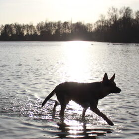 In de zon...
