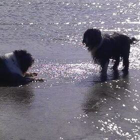 Groeten uit... Terschelling