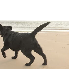 aan het strand