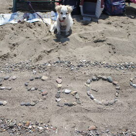 Groeten uit Lesbos :)