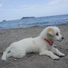 Kya in Lesbos