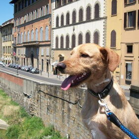Groeten uit Florence!