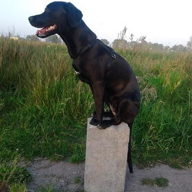 Groeten uit Friesland