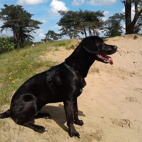 Groeten uit Bakkeveen
