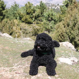 Effe uitrusten na een mooie wandeling in de Espuña