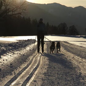 Shadow en Spot 1e keer voor de ski's