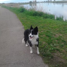 Groeten uit Kinderdijk!