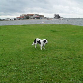 Groeten uit... Ouddorp (Zuid Holland)