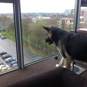 Spannend zo hoog