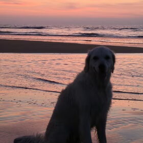 Genieten aan zee...