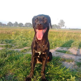 Warmpjes na het hard lopen