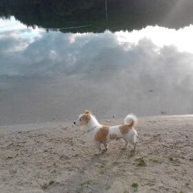 avond wandeling