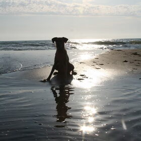 Ondergaande zon.