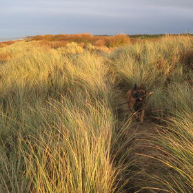 De Haan in december