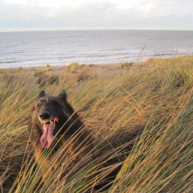 De Haan in december