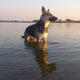 Pootjes koelen in de warme avondzon