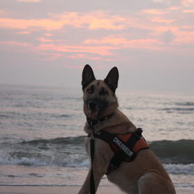 zon, strand en job