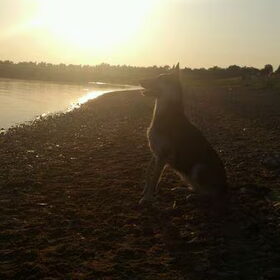Drogen in de avondzon