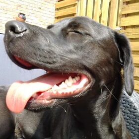 Warmpjes hoor!!!!!