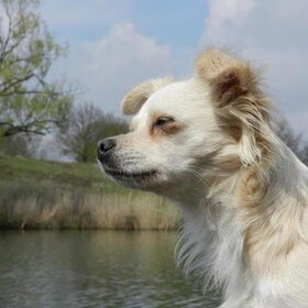 Mijn lieve meid!