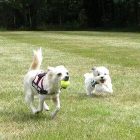 Samen spelen!