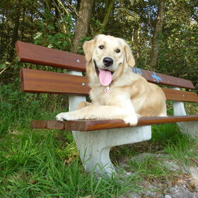 Wandelen in de herfst