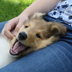 Smile