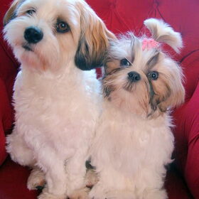 Sammy & Deva